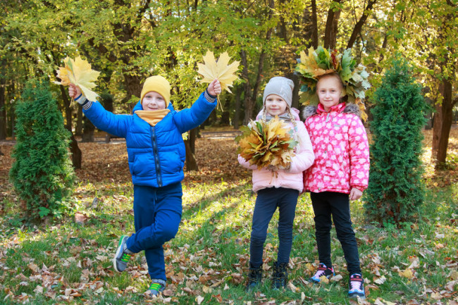 osinniy dytyachiyq fotoset shkola